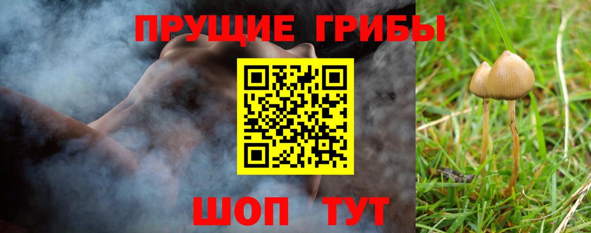 Псилоцибиновые грибы ЛСД  Галлюциногенные грибы Psilocybine cubensis  Строитель  Вход с VPN 